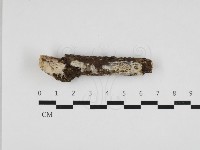 登錄號:F0032708藏品圖，第1張