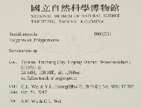 骨皮菌屬藏品圖，第2張