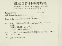 登錄號:F0032713藏品圖，第2張