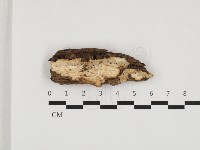 登錄號:F0032713藏品圖，第1張