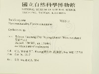 登錄號:F0032715藏品圖，第2張