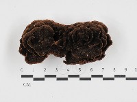 登錄號:F0032715藏品圖，第1張