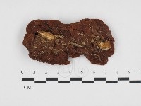 登錄號:F0032715藏品圖，第3張