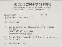 傑克菌屬藏品圖，第2張