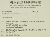 粗糙孢菌屬藏品圖，第2張