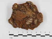 登錄號:F0032720藏品圖，第3張