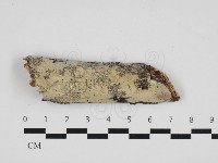 登錄號:F0032722藏品圖，第1張