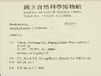 阿太菌屬藏品圖，第2張