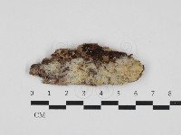 登錄號:F0032724藏品圖，第1張