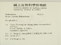 擬筍殼菌屬藏品圖，第2張