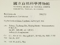 登錄號:F0032726藏品圖，第2張