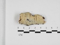 登錄號:F0032726藏品圖，第1張