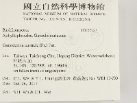 登錄號:F0032727藏品圖，第2張