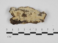 登錄號:F0032731藏品圖，第1張