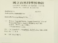 登錄號:F0032732藏品圖，第2張