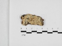 登錄號:F0032732藏品圖，第1張