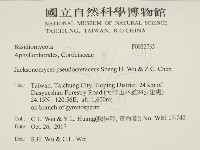 登錄號:F0032735藏品圖，第2張
