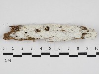 登錄號:F0032735藏品圖，第1張