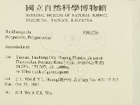 登錄號:F0032736藏品圖，第2張