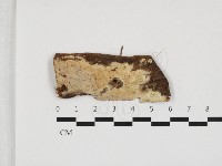 登錄號:F0032738藏品圖，第1張