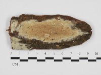 登錄號:F0032739藏品圖，第1張