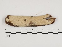 登錄號:F0032740藏品圖，第1張