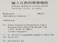 登錄號:F0032741藏品圖，第2張