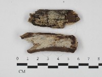登錄號:F0032741藏品圖，第1張