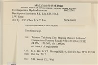 登錄號:F0032741藏品圖，第3張