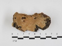 登錄號:F0032743藏品圖，第1張