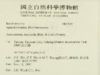 登錄號:F0032746藏品圖，第2張