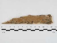 登錄號:F0032746藏品圖，第1張