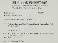 登錄號:F0032747藏品圖，第2張