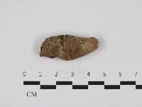 登錄號:F0032747藏品圖，第3張