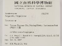 登錄號:F0032748藏品圖，第2張