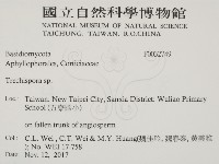 登錄號:F0032749藏品圖，第2張