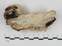 登錄號:F0032749藏品圖，第1張