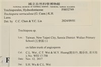 登錄號:F0032749藏品圖，第3張
