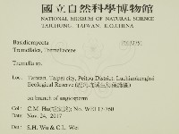 銀耳屬藏品圖，第2張