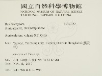 登錄號:F0032752藏品圖，第2張