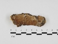 登錄號:F0032754藏品圖，第1張