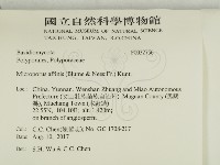 相鄰小孔菌藏品圖，第2張