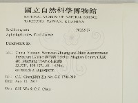 登錄號:F0032757藏品圖，第2張