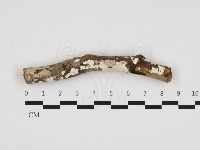 登錄號:F0032757藏品圖，第1張