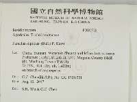 登錄號:F0032758藏品圖，第2張