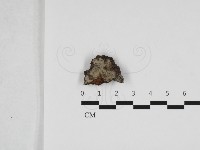 登錄號:F0032761藏品圖，第1張