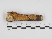 登錄號:F0032763藏品圖，第1張