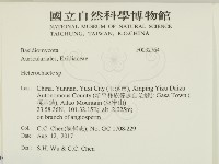 刺皮菌屬藏品圖，第2張