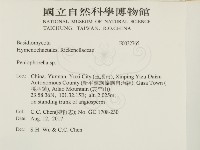 擬筍殼菌屬藏品圖，第2張