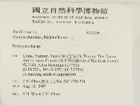 擬筍殼菌屬藏品圖，第2張